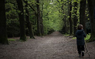 Rear view of man walking on footpath amidst trees in forest