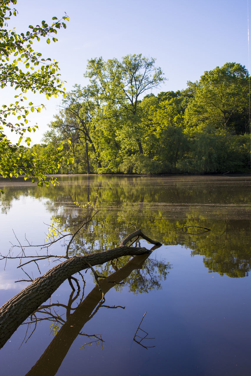 SCENIC VIEW OF LAKE AND TREES AGAINST SKY