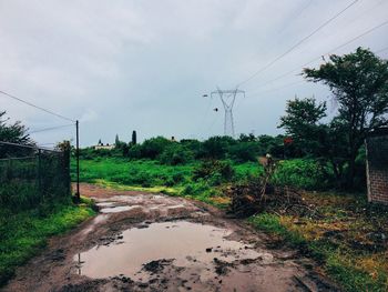 Road amidst trees and plants against sky