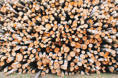 Stack of log