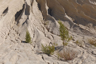 Rock formations in desert