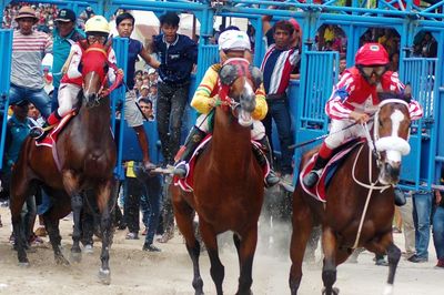 Group of people riding horses