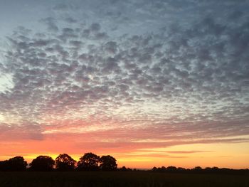 Silhouette trees on field against sky at sunset