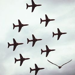 Low angle view of birds flying in sky