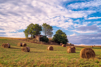 Hay bales on field against sky