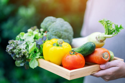 Close-up of hand holding fruits