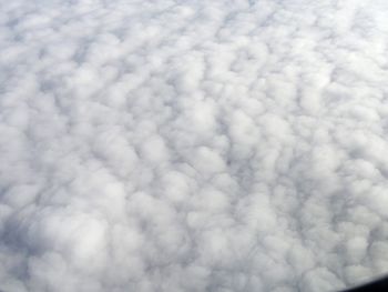 Close-up of snow