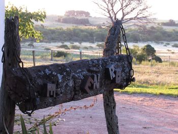 Old ruin tree on field against sky