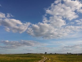 Scenic view of field against sky