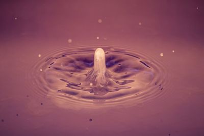Close-up of water splashing