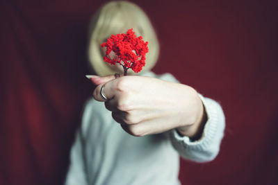 Close-up of woman holding red flowers over face