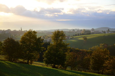 Trees on field against sky