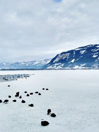 Scenic view of lake against sky during winter