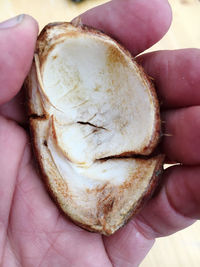 Close-up of hand holding ice cream