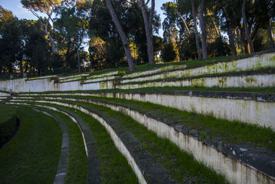 Scenic view of park