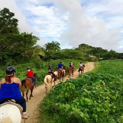 People riding horses on field against sky