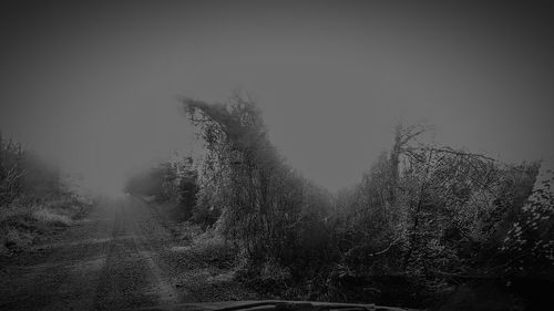 Bare trees on landscape against sky