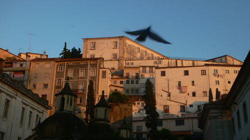 Low angle view of buildings in city