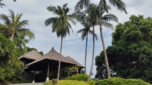 House amidst trees and plants against sky