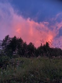 Scenic view of field against sky during sunset