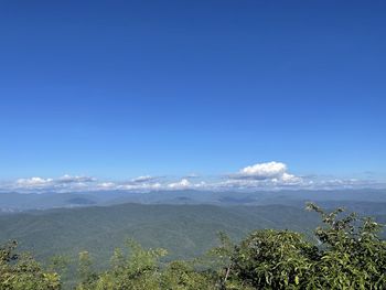 Scenic view of landscape against blue sky