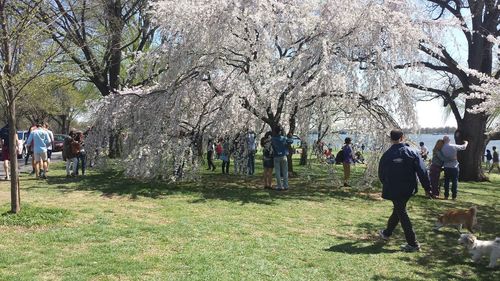 People in park