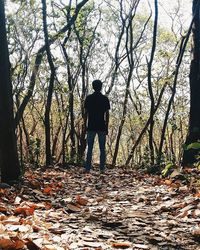 Rear view of woman standing in forest