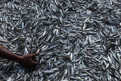 Full frame shot of metallic structure