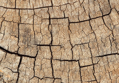 Full frame shot of cracked land