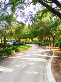 Empty road along trees