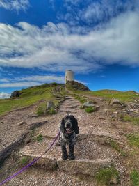 Scenic view of cocker spaniel and lighthouse against sky