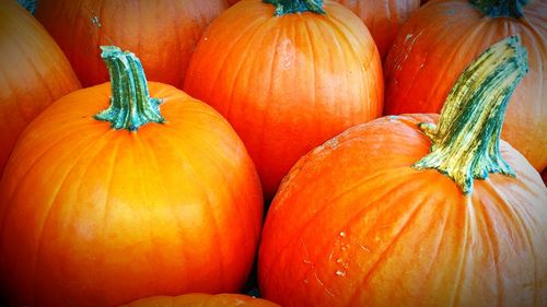 Full frame of pumpkins