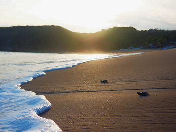 Scenic view of beach against sky during sunset