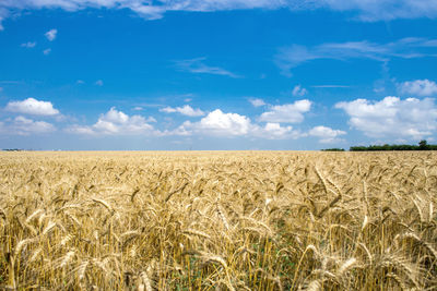 Scenic view of field against cloudy sky