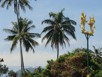 Low angle view of coconut palm trees against sky