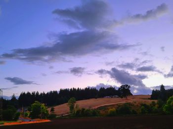 Silhouette trees on field against sky at sunset