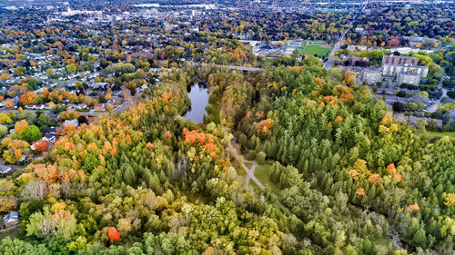 High angle view of flowering trees and buildings in city