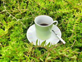 High angle view of coffee cup on table