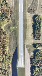 High angle view of road amidst trees