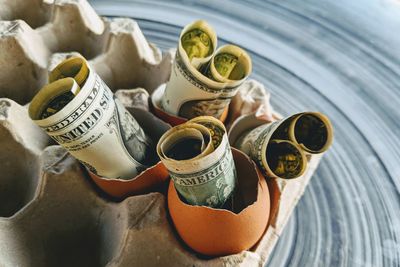 Close-up of banknotes in eggshells