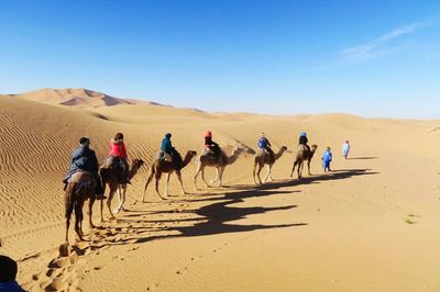 People on sand dune in desert against blue sky