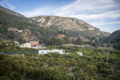 Scenic view of trees and houses against sky