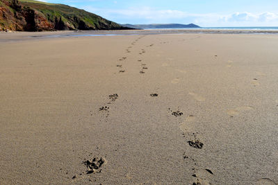 Footprints on sand at beach against sky