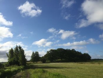 Scenic view of grassy field against sky