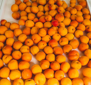 Full frame shot of orange fruits