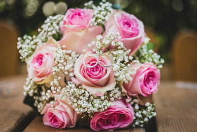 Close-up of pink roses