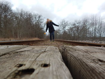 Rear view of man on wood against sky