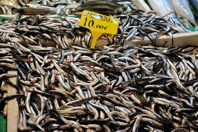 Close-up of fish for sale at market