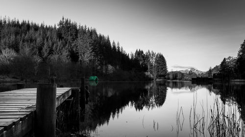 Reflection of trees in calm lake