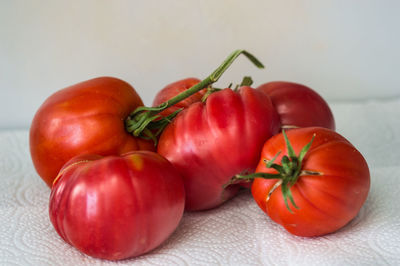 Close-up of tomatoes on table